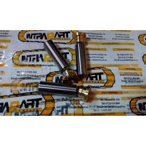 Set pistoane pompa hidraulica Rexroth - R909414515