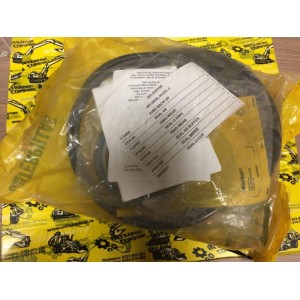 Set garnituri cilindru CAT 972, 966 - 3812337