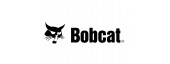 Bobcat